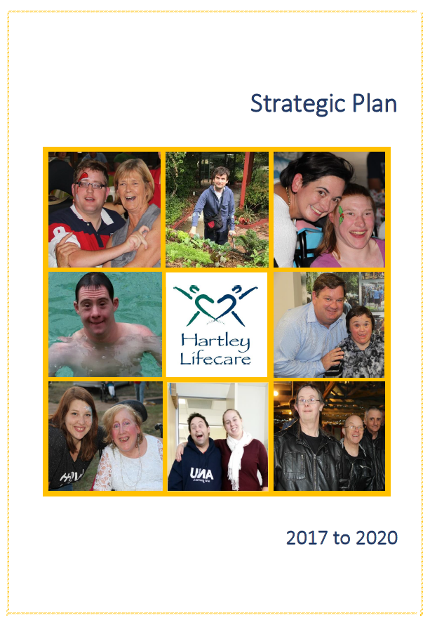 Strategic Plan - 2017 to 2020